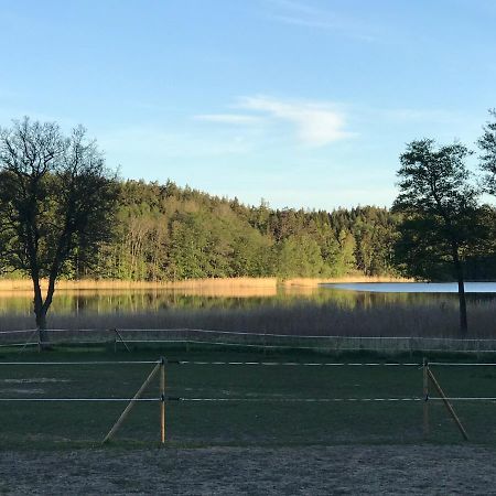 Nice Holiday House At Horse Farm With Lake And Sauna Holo  Kültér fotó