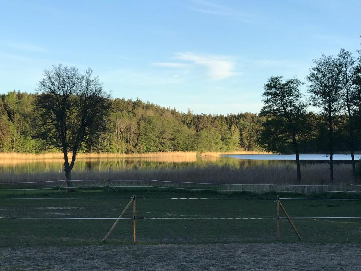 Nice Holiday House At Horse Farm With Lake And Sauna Holo  Kültér fotó