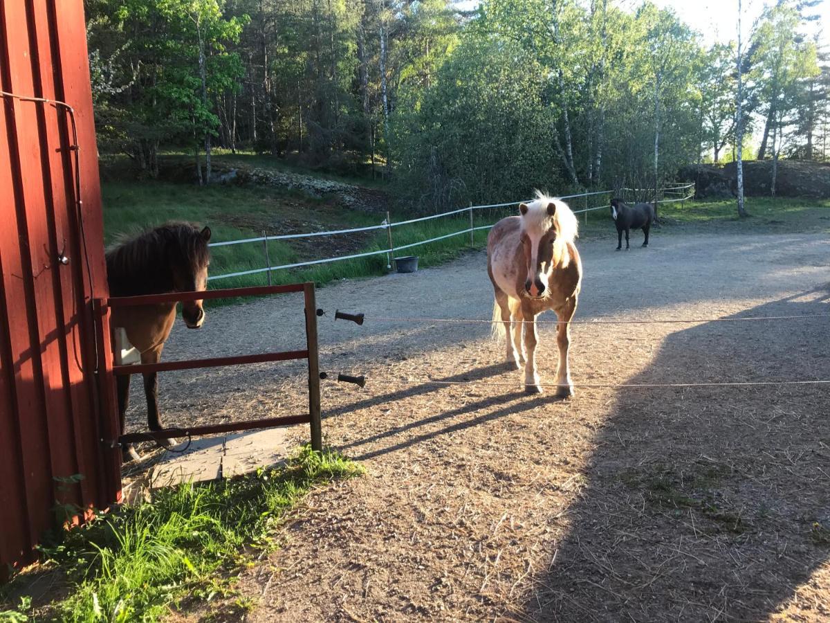 Nice Holiday House At Horse Farm With Lake And Sauna Holo  Kültér fotó